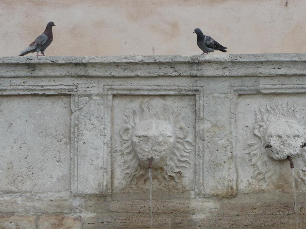Villa Rosy Assisi Exteriör bild