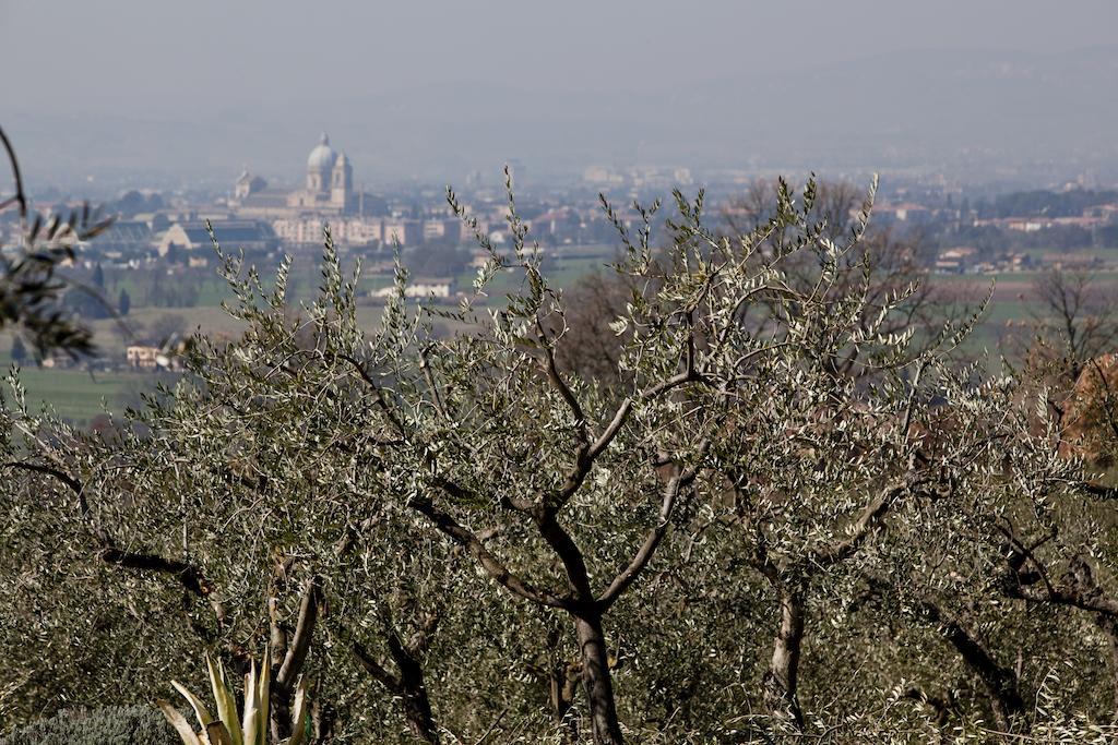 Villa Rosy Assisi Exteriör bild