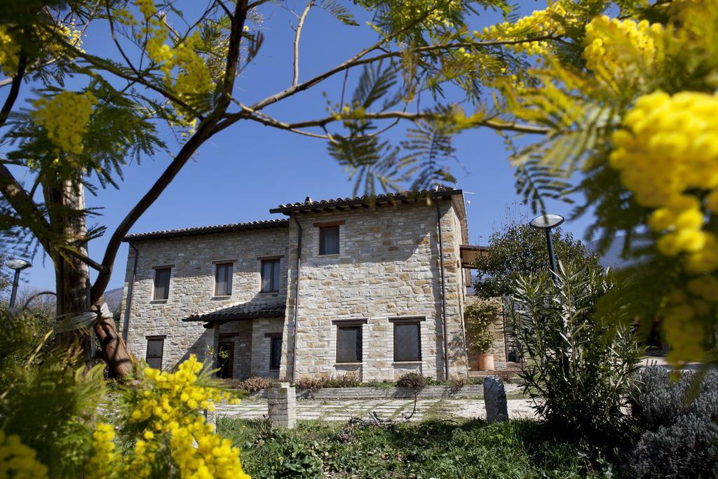 Villa Rosy Assisi Exteriör bild