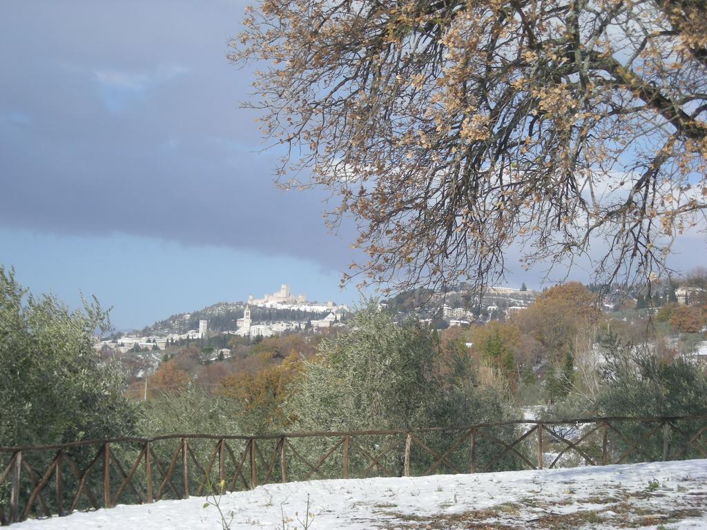Villa Rosy Assisi Exteriör bild